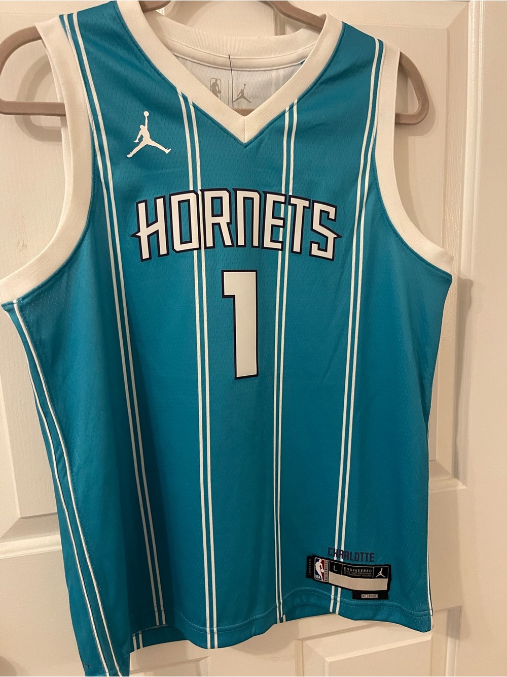 Jordan Charlotte LaMelo Ball #1 Basketball Jersey